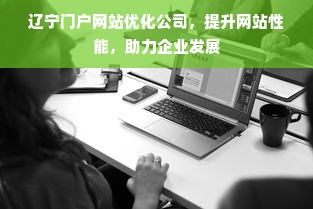 辽宁门户网站优化公司，提升网站性能，助力企业发展