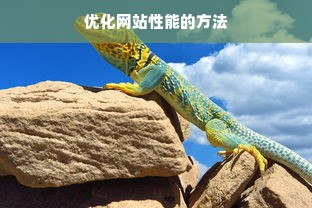 优化网站性能的方法