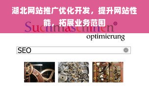 湖北网站推广优化开发，提升网站性能，拓展业务范围