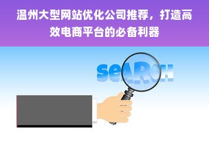 温州大型网站优化公司推荐，打造高效电商平台的必备利器