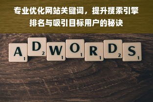 专业优化网站关键词，提升搜索引擎排名与吸引目标用户的秘诀