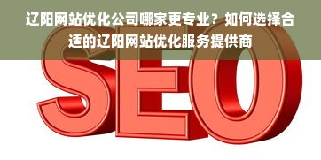 辽阳网站优化公司哪家更专业？如何选择合适的辽阳网站优化服务提供商