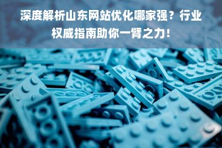 深度解析山东网站优化哪家强？行业权威指南助你一臂之力！