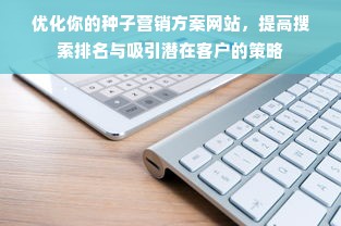 优化你的种子营销方案网站，提高搜索排名与吸引潜在客户的策略