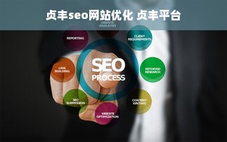 贞丰seo网站优化 贞丰平台