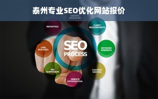 泰州专业SEO优化网站报价