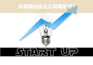 长春网站优化公司哪家好？