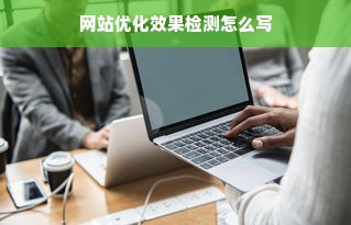 网站优化效果检测怎么写