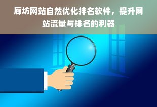 廊坊网站自然优化排名软件，提升网站流量与排名的利器