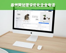 泰州网站建设优化企业电话