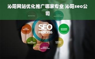 沁阳网站优化推广哪家专业 沁阳seo公司