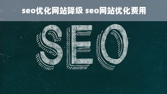 seo优化网站降级 seo网站优化费用