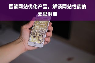 智能网站优化产品，解锁网站性能的无限潜能