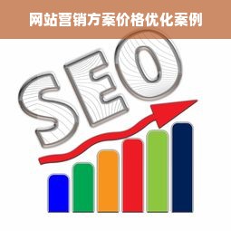 网站营销方案价格优化案例