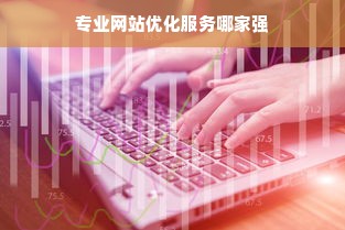 专业网站优化服务哪家强