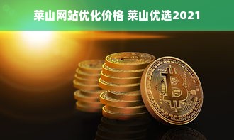 莱山网站优化价格 莱山优选2021