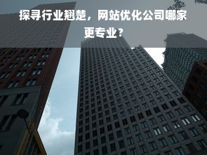 探寻行业翘楚，网站优化公司哪家更专业？