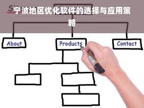 宁波地区优化软件的选择与应用策略