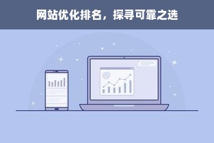 网站优化排名，探寻可靠之选