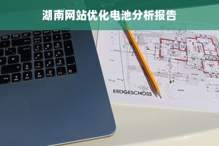 湖南网站优化电池分析报告