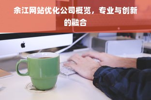 余江网站优化公司概览，专业与创新的融合