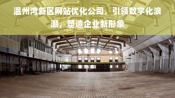 温州湾新区网站优化公司，引领数字化浪潮，塑造企业新形象