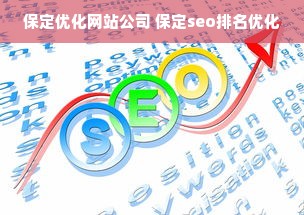 保定优化网站公司 保定seo排名优化