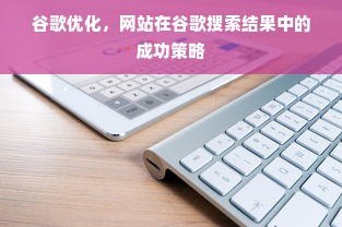 谷歌优化，网站在谷歌搜索结果中的成功策略