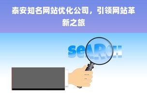 泰安知名网站优化公司，引领网站革新之旅