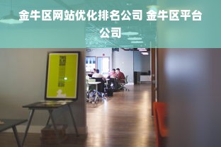 金牛区网站优化排名公司 金牛区平台公司