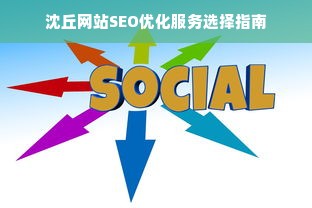 沈丘网站SEO优化服务选择指南