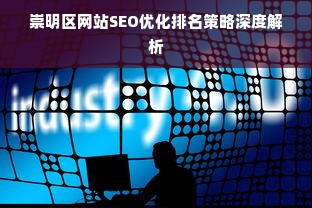 崇明区网站SEO优化排名策略深度解析