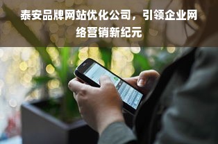 泰安品牌网站优化公司，引领企业网络营销新纪元