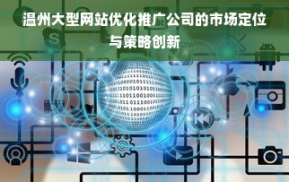 温州大型网站优化推广公司的市场定位与策略创新