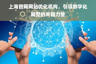 上海官网网站优化机构，引领数字化转型的关键力量