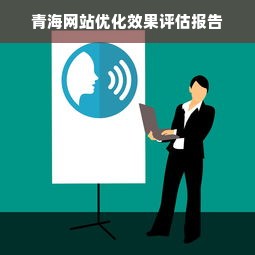 青海网站优化效果评估报告