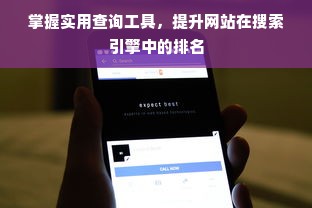 掌握实用查询工具，提升网站在搜索引擎中的排名