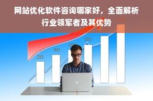 网站优化软件咨询哪家好，全面解析行业领军者及其优势