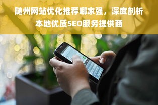 随州网站优化推荐哪家强，深度剖析本地优质SEO服务提供商