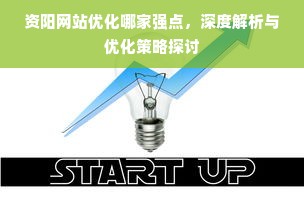 资阳网站优化哪家强点，深度解析与优化策略探讨