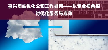 嘉兴网站优化公司工作如何——以专业视角探讨优化服务与成效