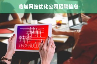 临城网站优化公司招聘信息