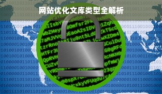 网站优化文库类型全解析