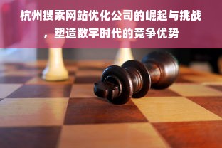 杭州搜索网站优化公司的崛起与挑战，塑造数字时代的竞争优势