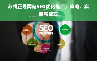 苏州正规网站SEO优化推广，策略、实践与成效