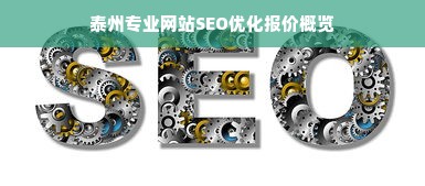 泰州专业网站SEO优化报价概览