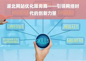 湖北网站优化服务商——引领网络时代的创新力量