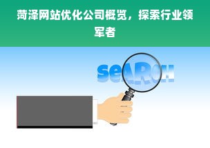 菏泽网站优化公司概览，探索行业领军者