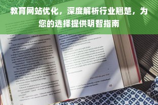 教育网站优化，深度解析行业翘楚，为您的选择提供明智指南