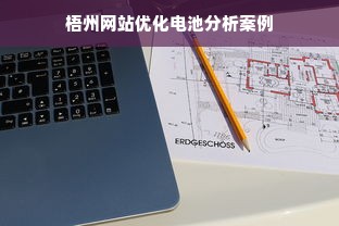 梧州网站优化电池分析案例